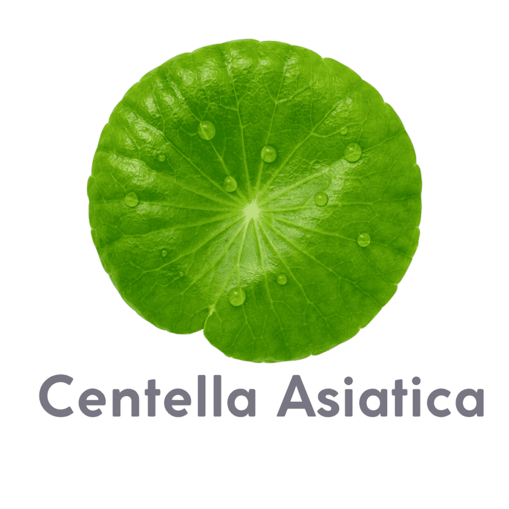 centella asiatica